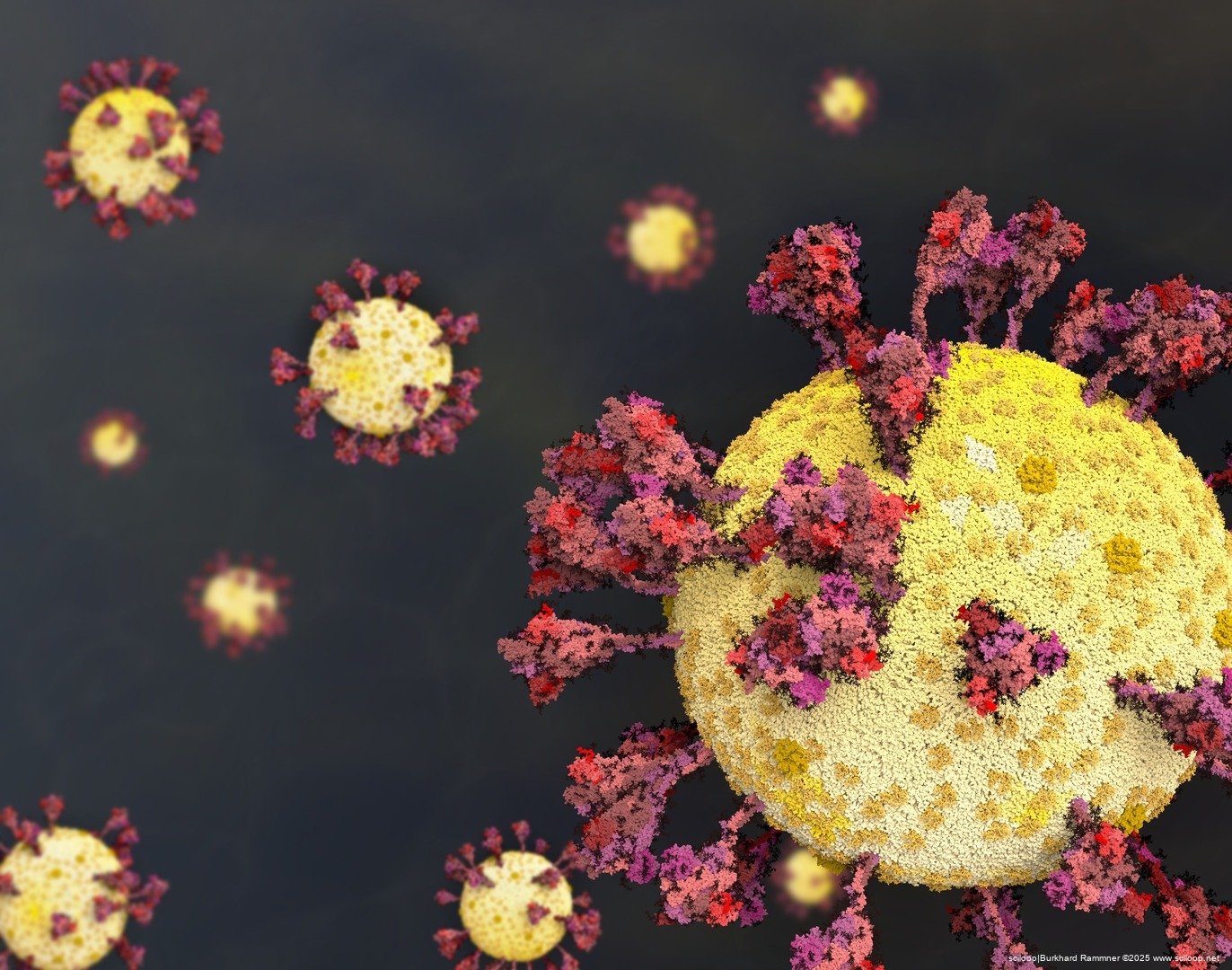 SARS-CoV-2 Several Viruses