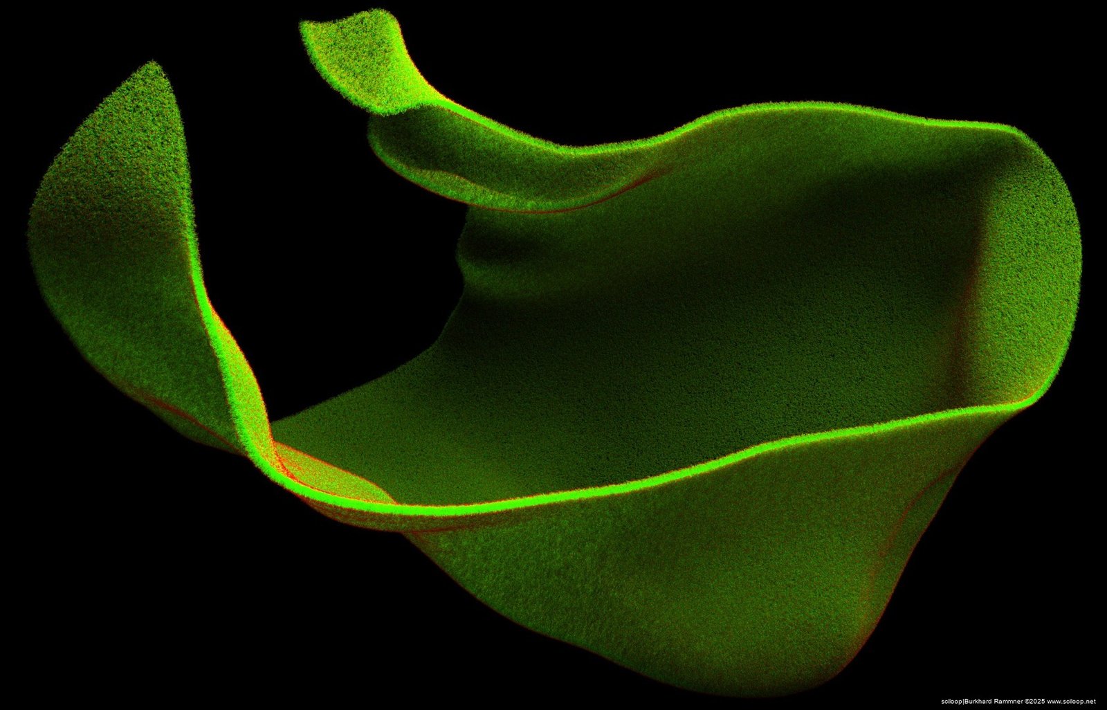 Molecular Membrane 1