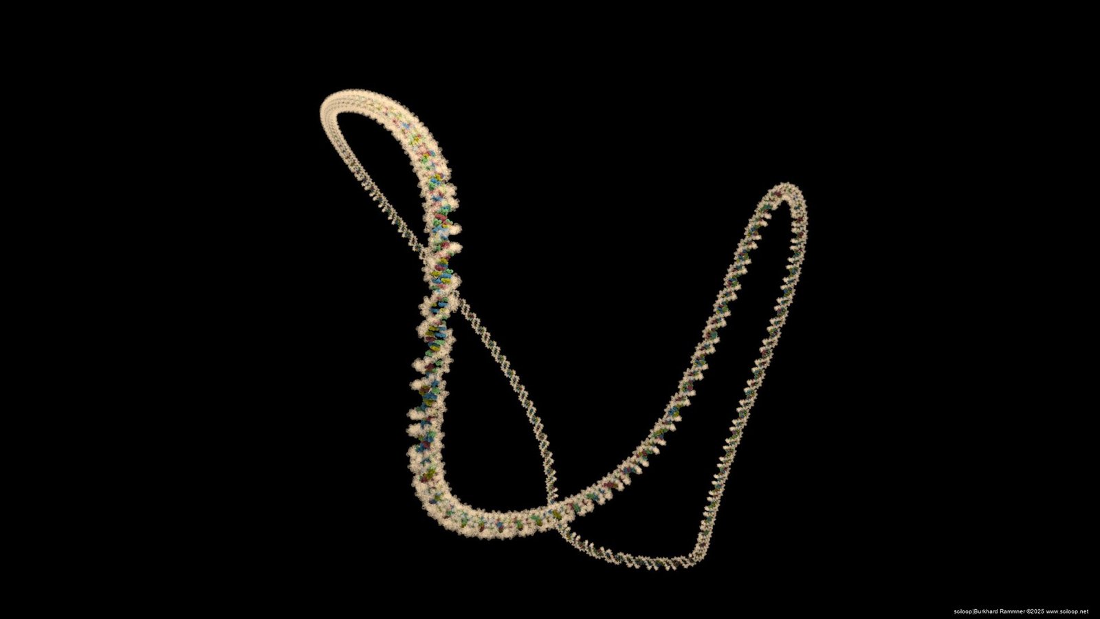 Nucleic Acid Filament 2